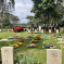 Commonwealth War Graves